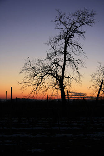 tramonto d'inverno