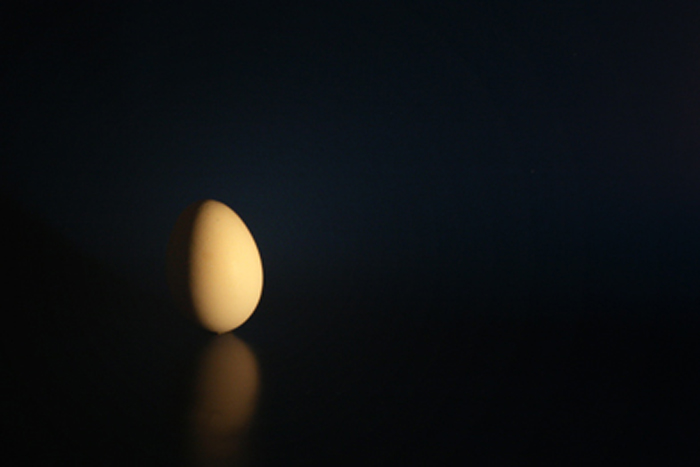 egg