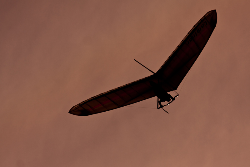 flying at sunset