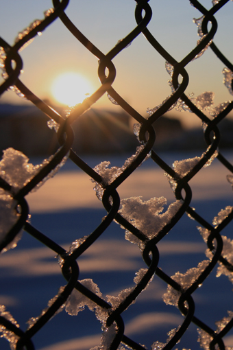 Snow in the fence